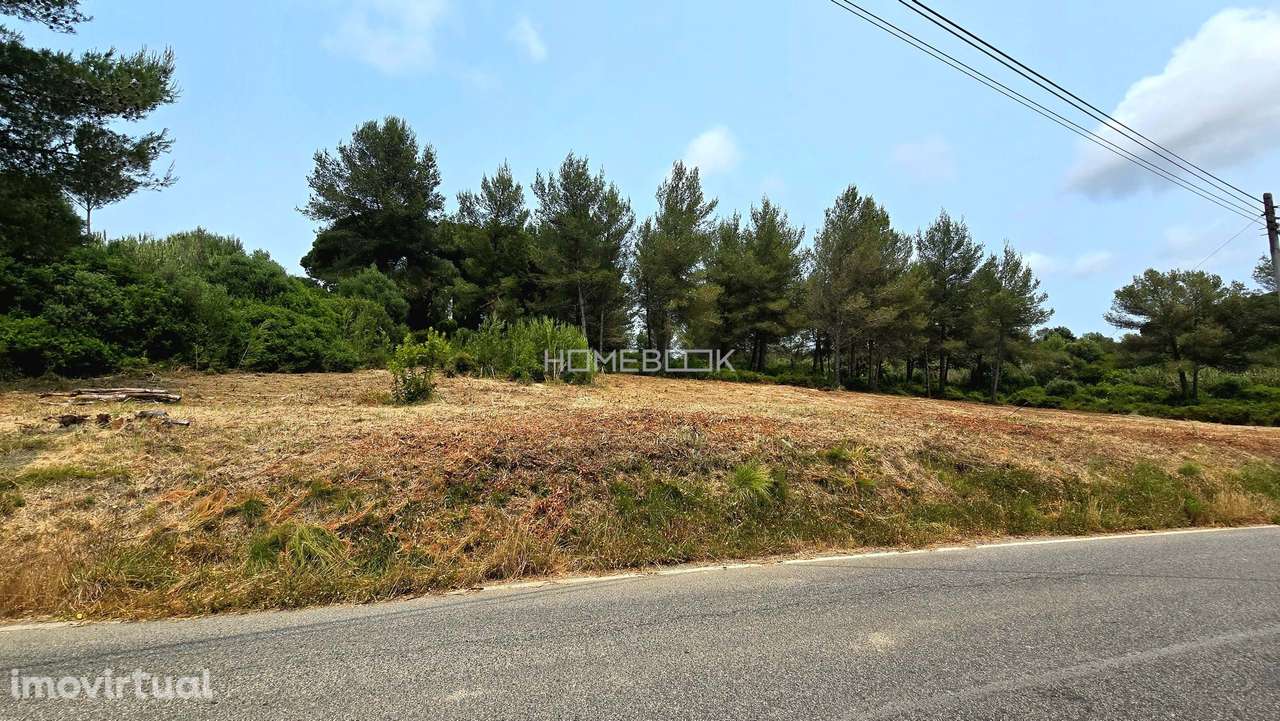 Terreno com uma área total de 29.520m2 - Grande imagem: 5/12