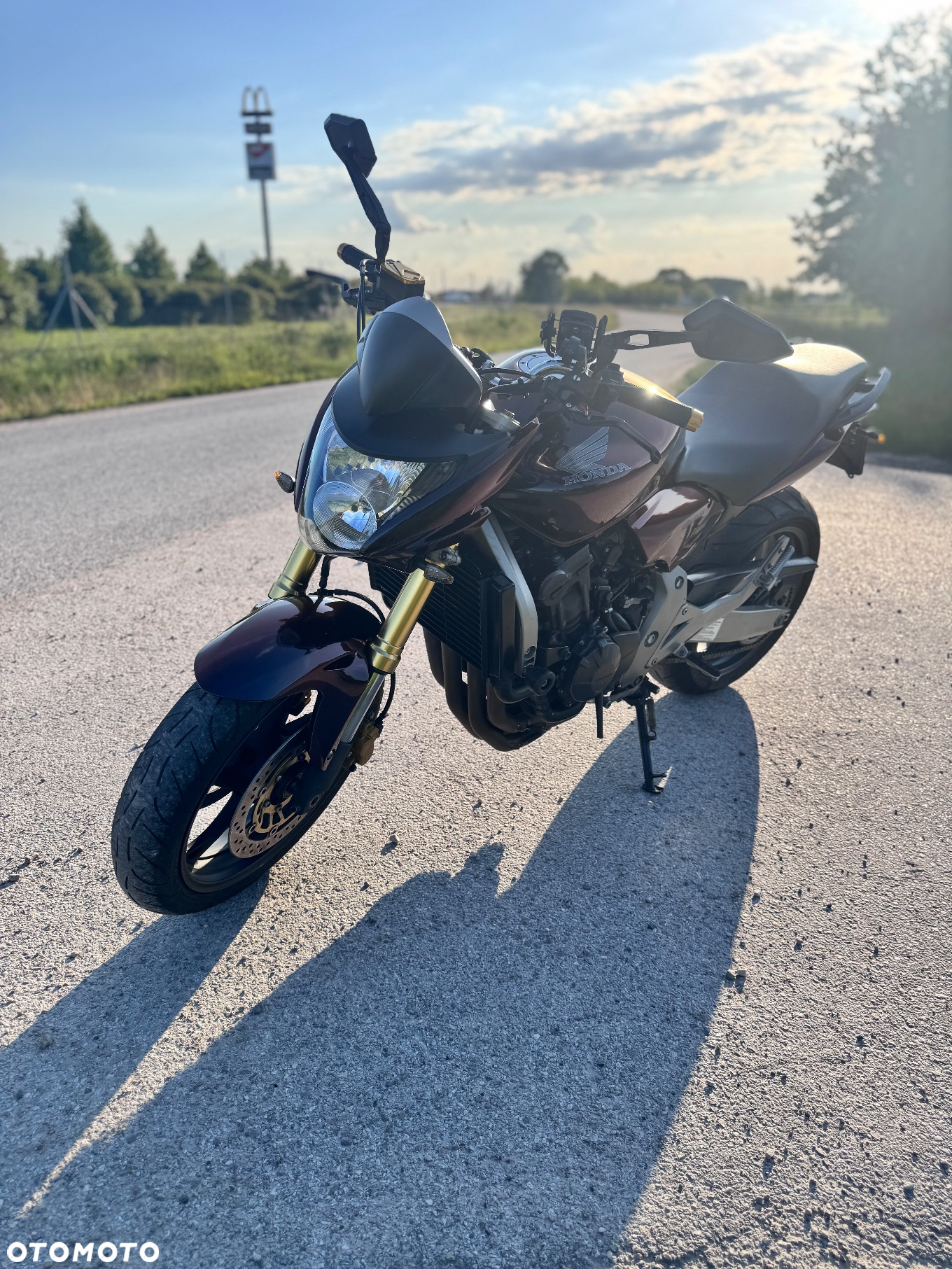 Honda Hornet - 6