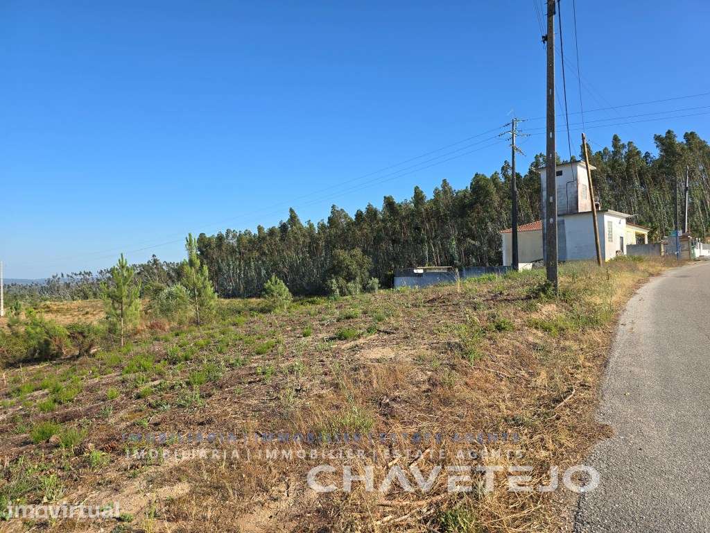 Lote para construção perto da aldeia do Suimo , Tomar - Grande imagem: 4/12