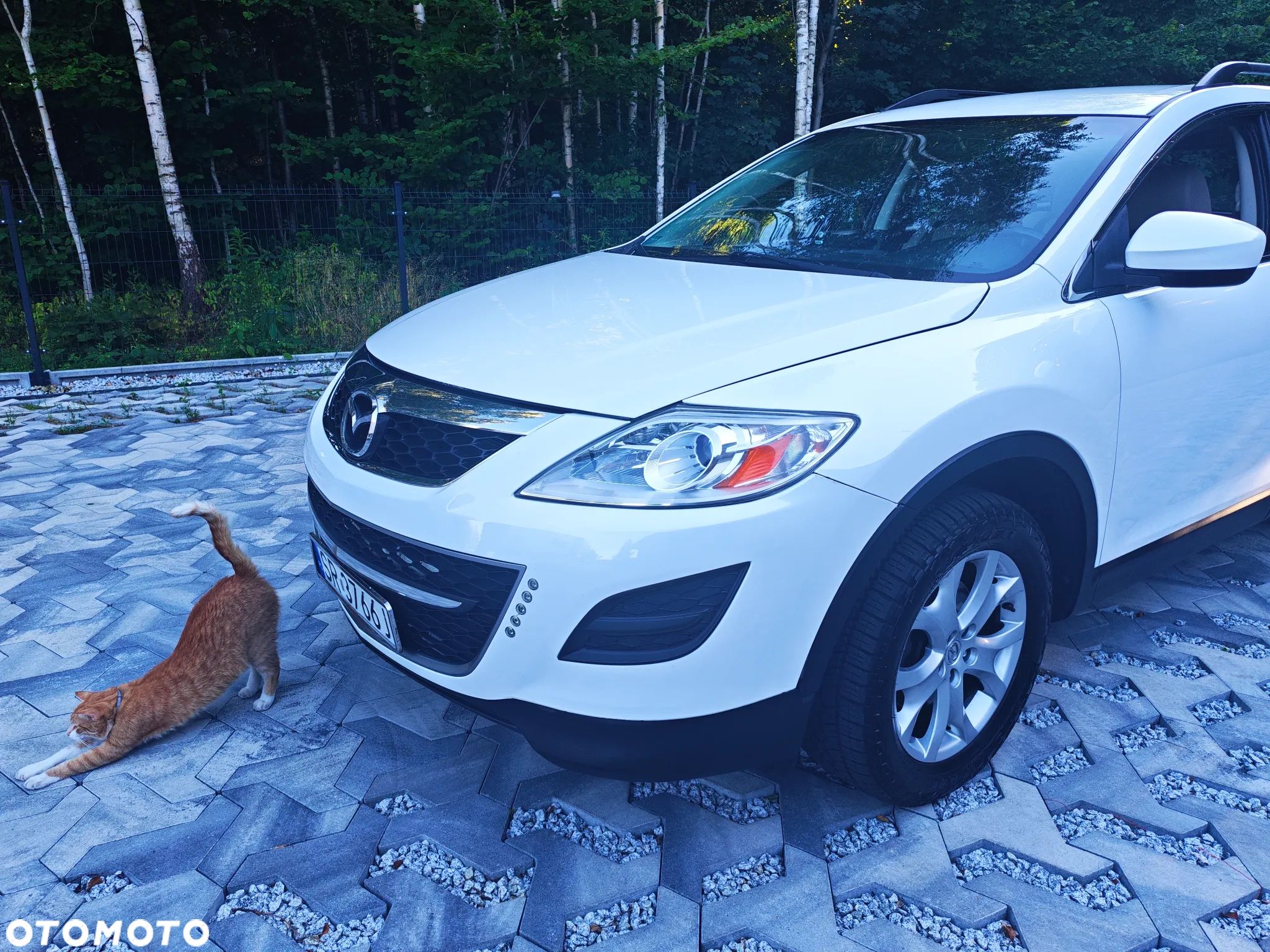 Mazda CX-9 3.7 V6 Sport - 1