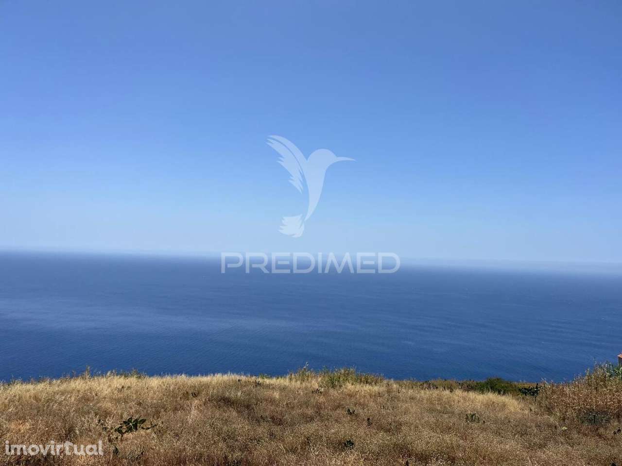 VENDO TERRENO COM 7.100M2 NA FAJÃ DA OVELHA - Grande imagem: 4/7