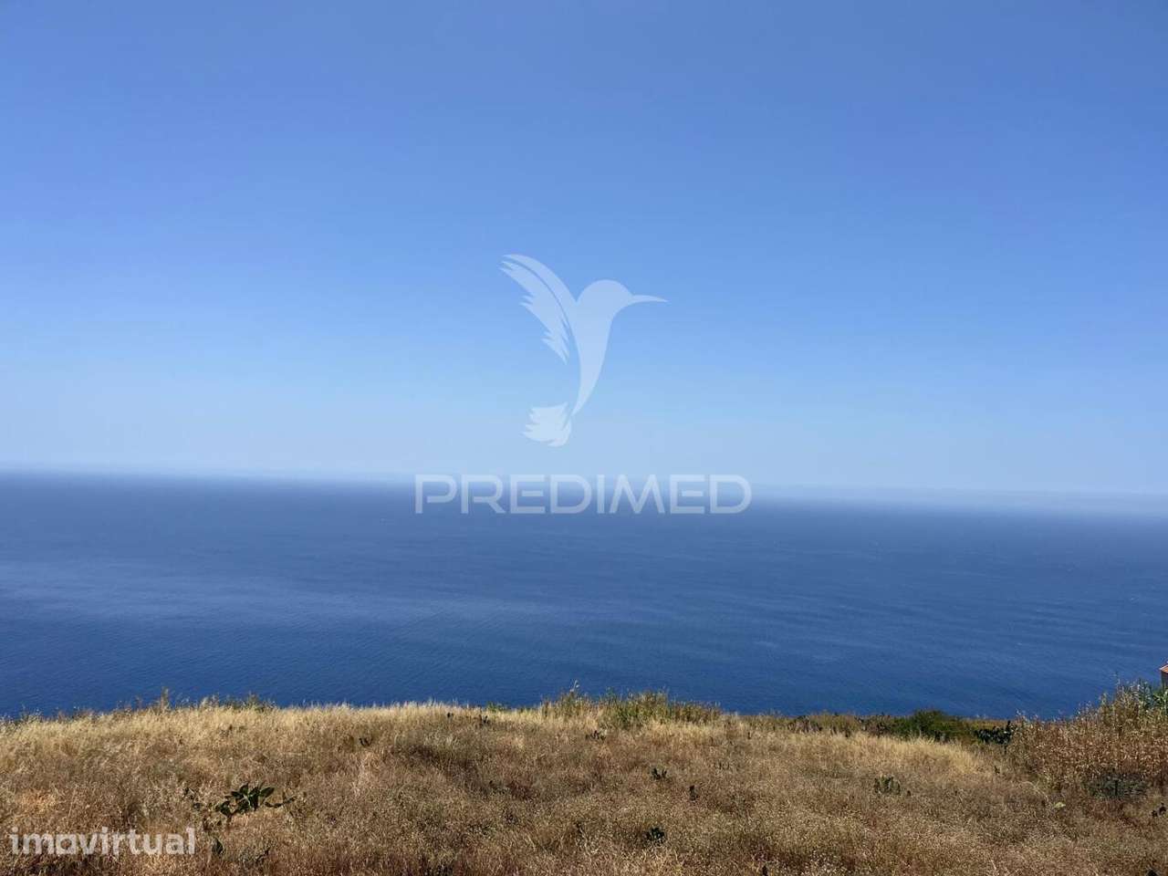 VENDO TERRENO COM 7.100M2 NA FAJÃ DA OVELHA - Grande imagem: 4/7