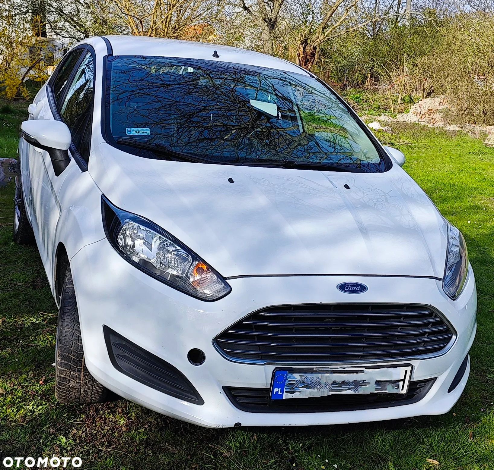 Ford Fiesta - 1