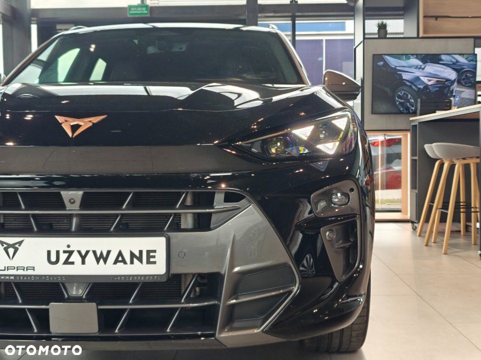 Cupra Terramar - 4
