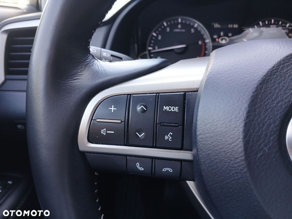 Lexus RX - 14