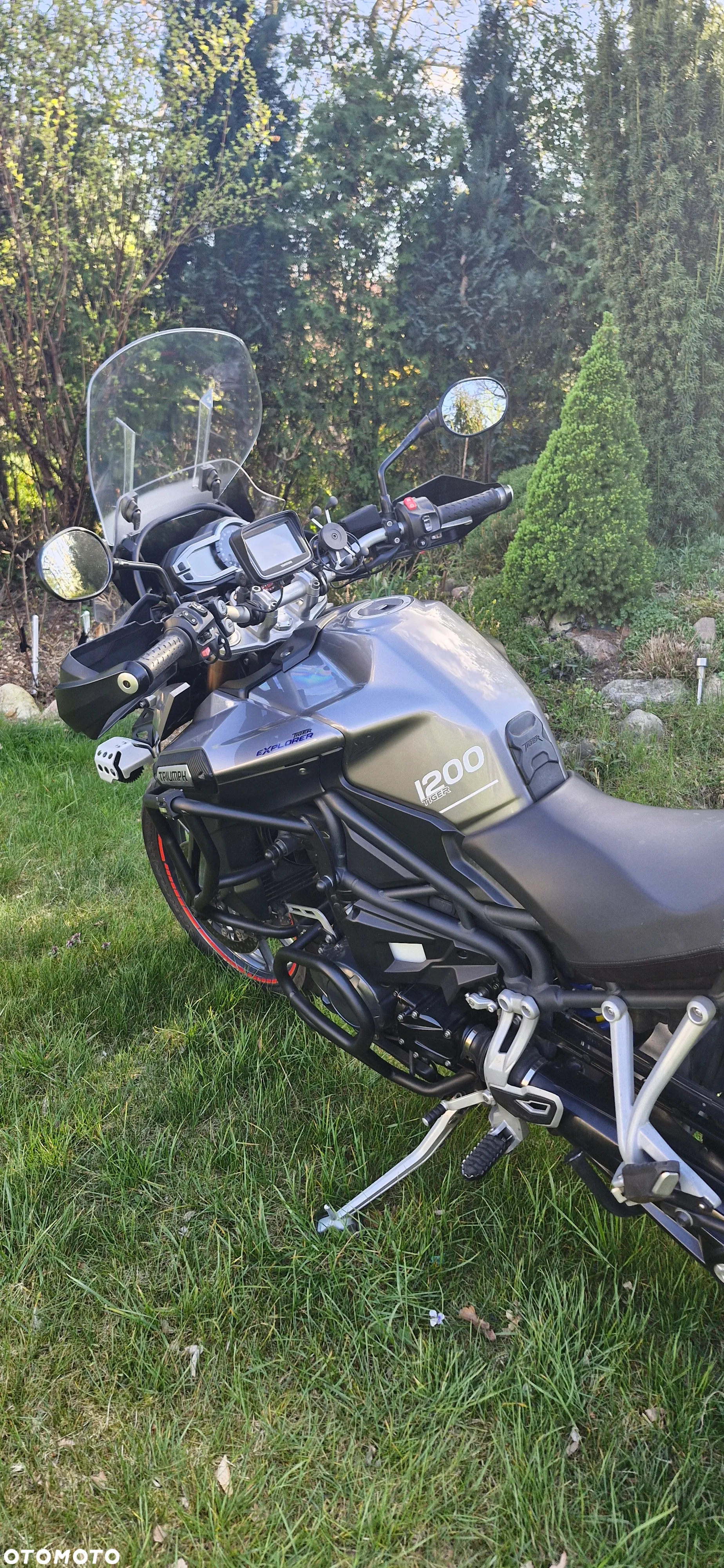 Triumph Tiger - 7