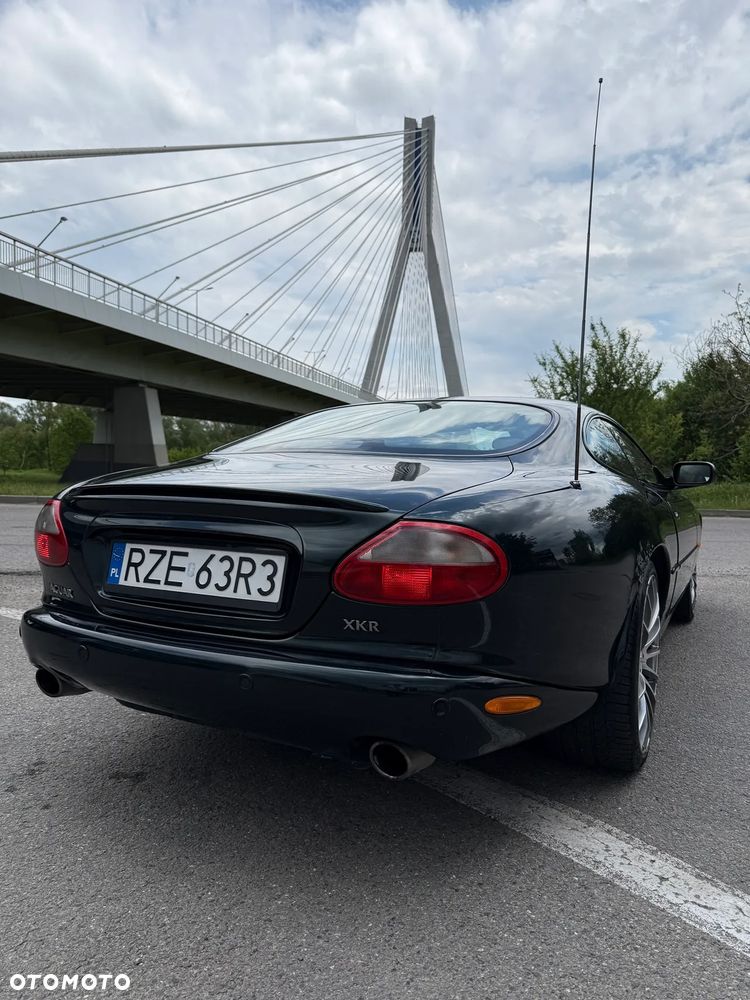 Jaguar XK - 8