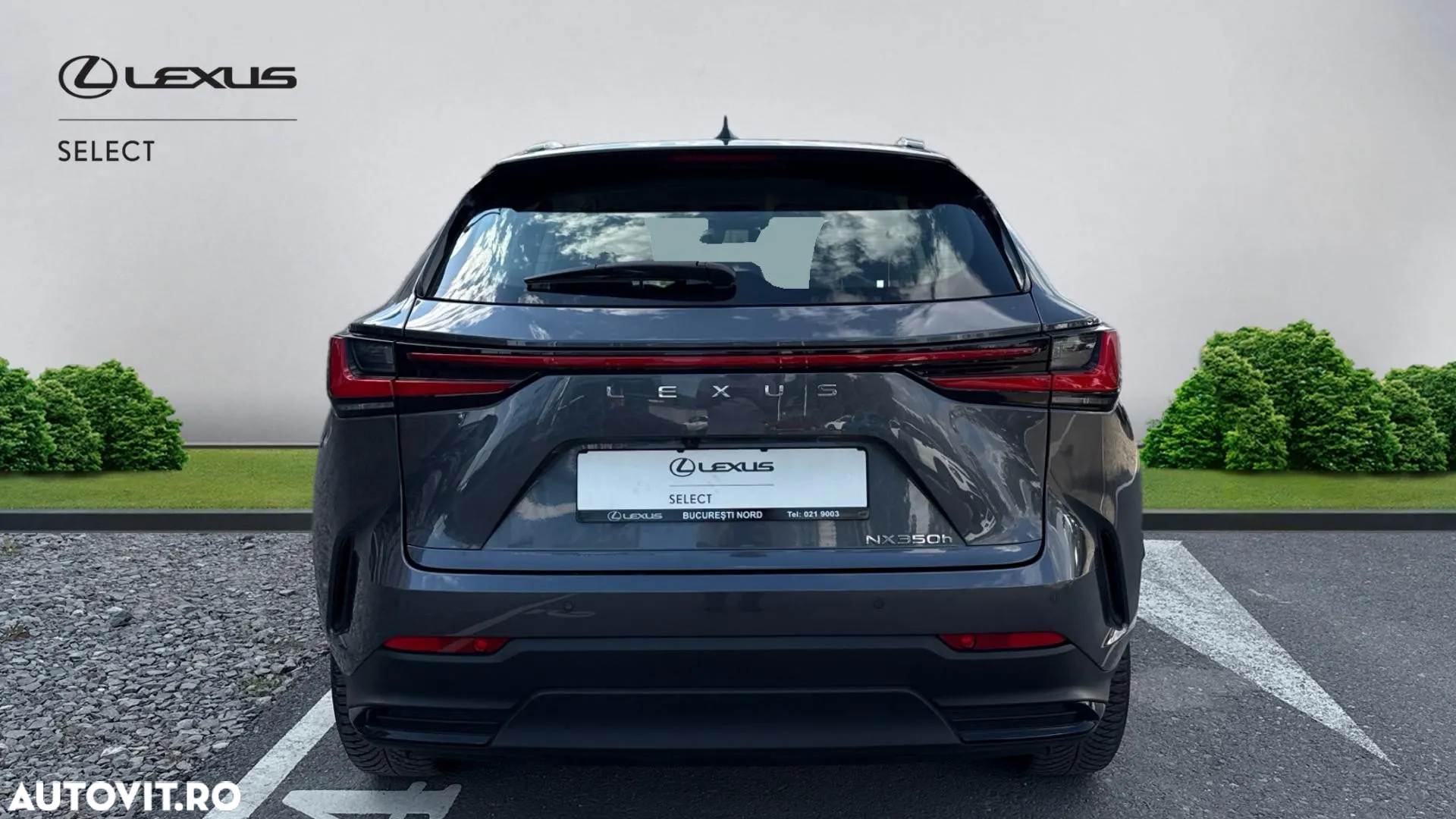 Lexus Seria NX 350h AWD CVT HEV Business - 6