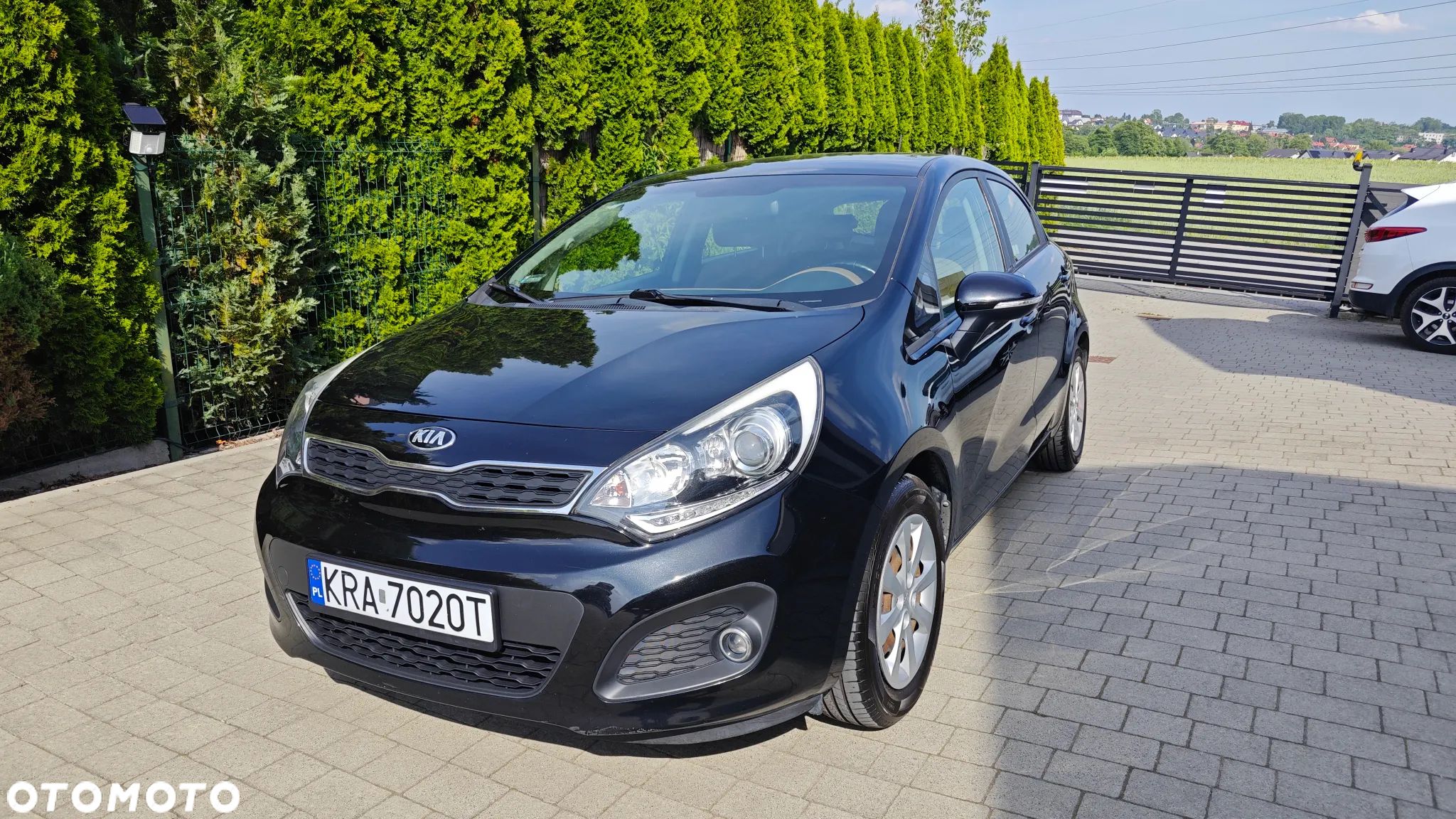 Kia Rio - 1