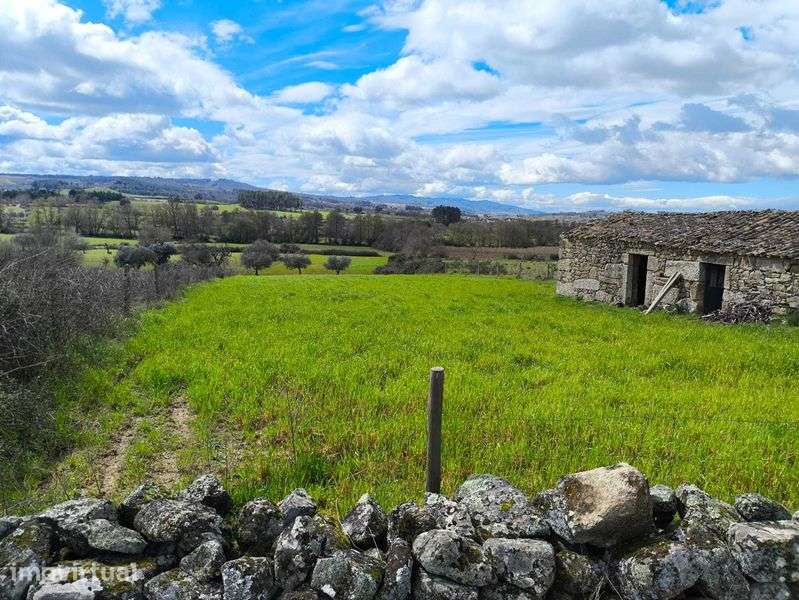 Vendo Quinta com casa para recuperar - Grande imagem: 3/9