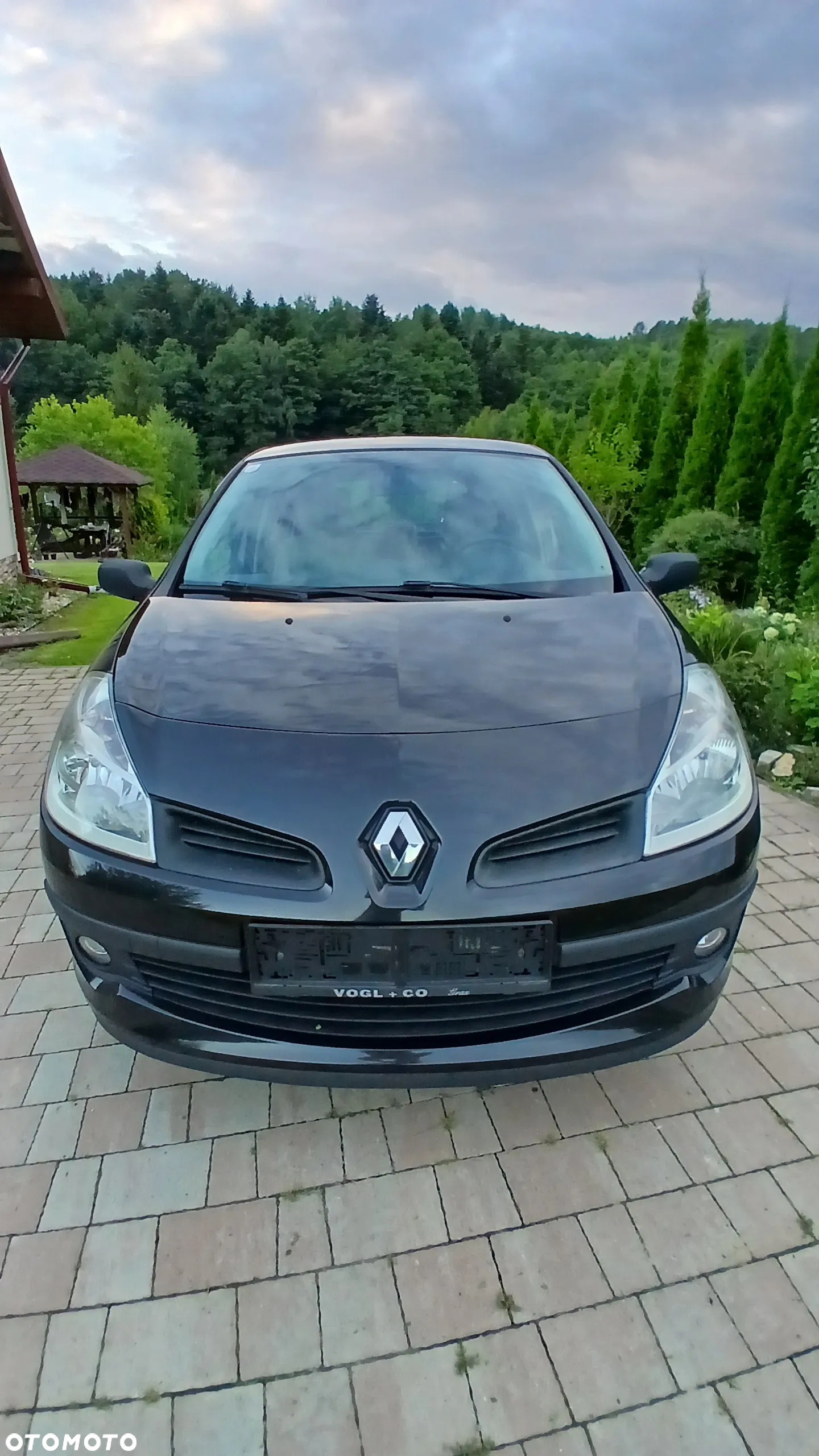 Renault Clio - 13