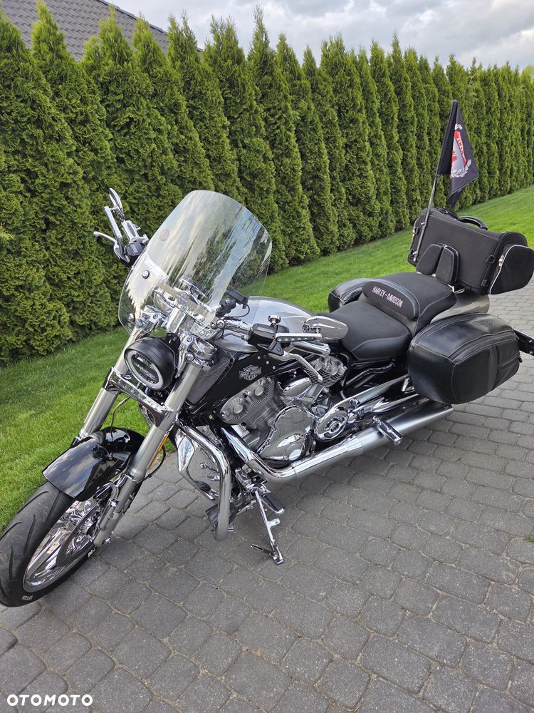 Harley-Davidson V-Rod Muscle - 14