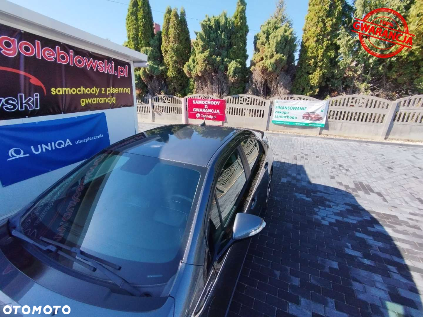 Opel Ampera - 17