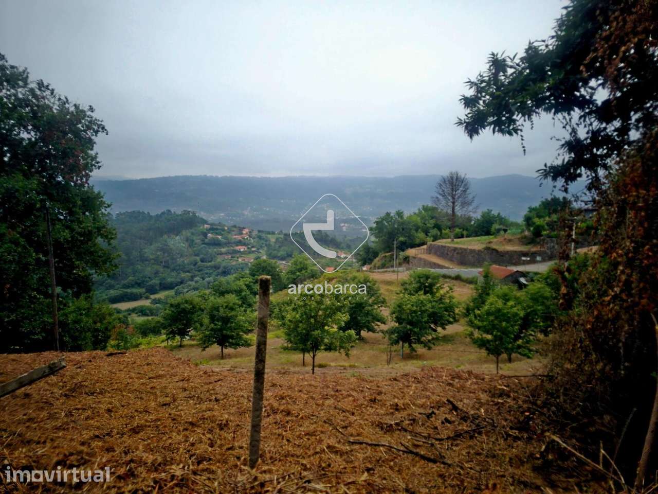 Terreno Agrícola - Grande imagem: 5/28