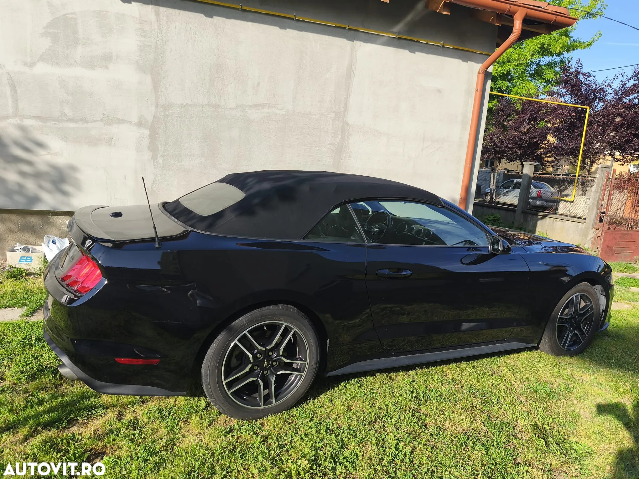 Ford Mustang 2.3 Eco Boost Aut. - 8