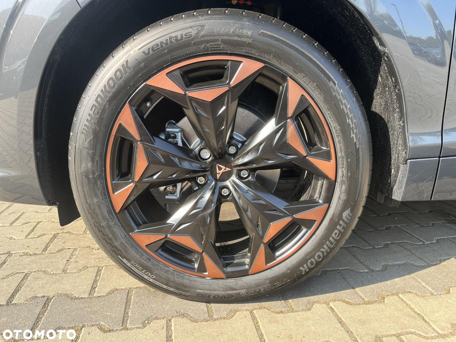 Cupra Terramar - 34