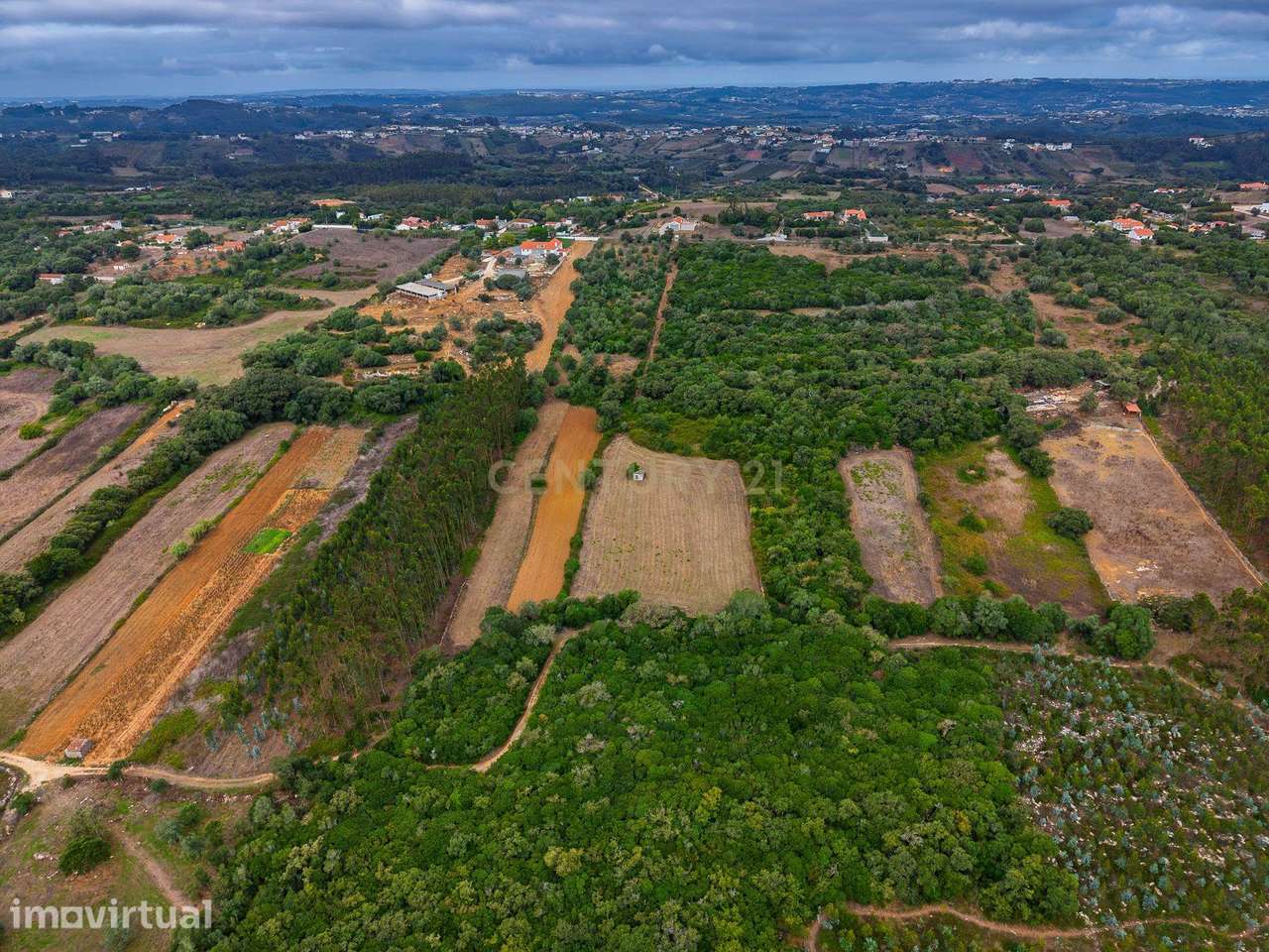 Terreno Rústico com 9.900 m² | Natureza e Tranquilidade | Algar da Fig - Grande imagem: 2/12