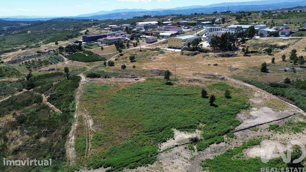 Terreno Agrícola em Vila Chã - Grande imagem: 5/17
