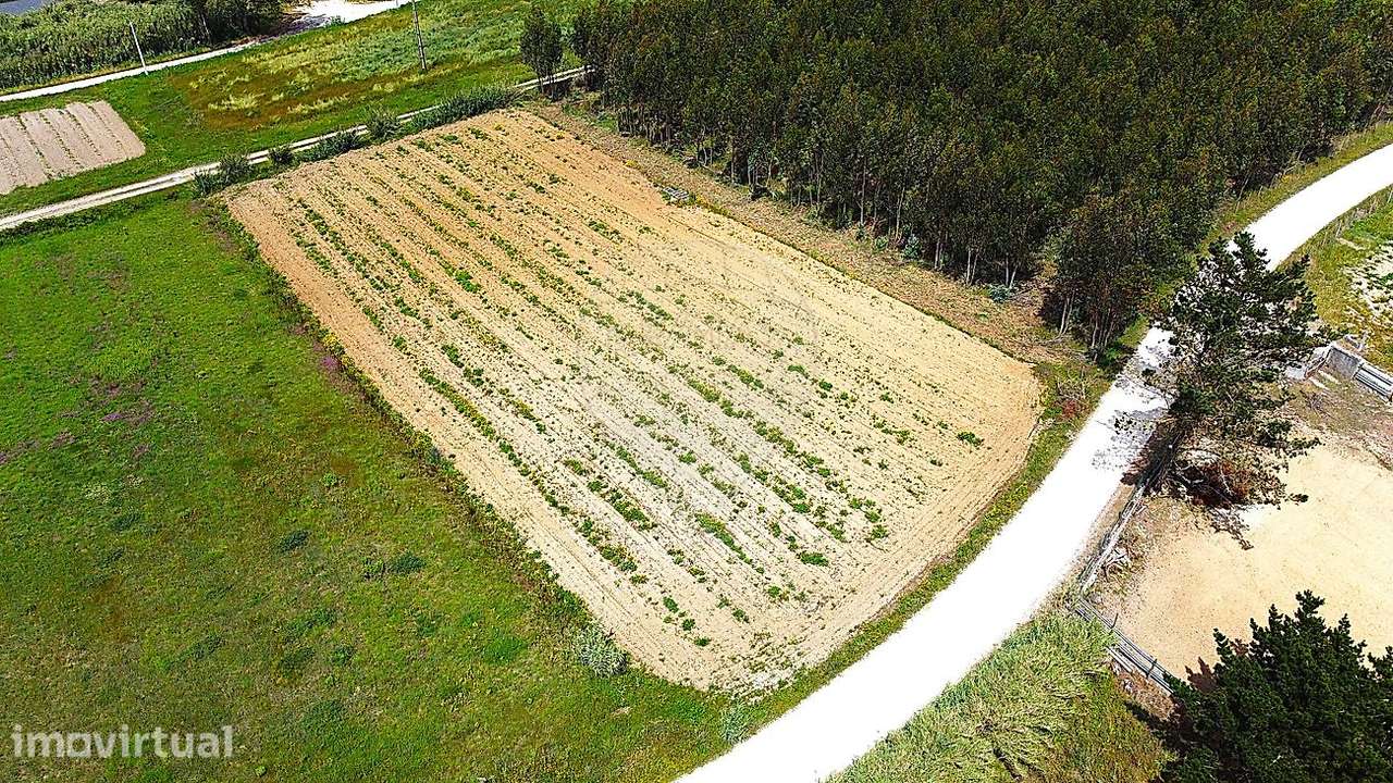 Terreno  para venda - Grande imagem: 3/14