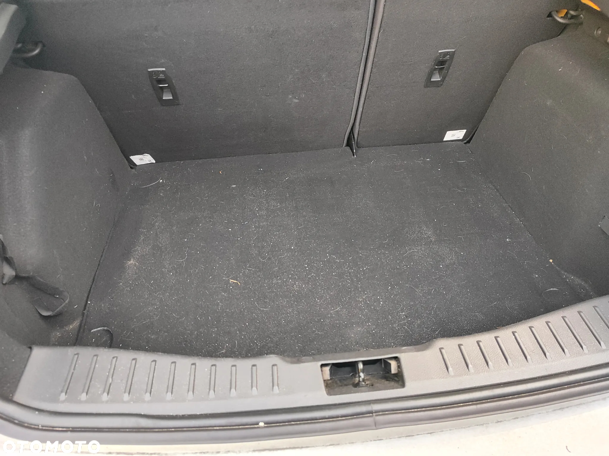 Ford Focus - 3