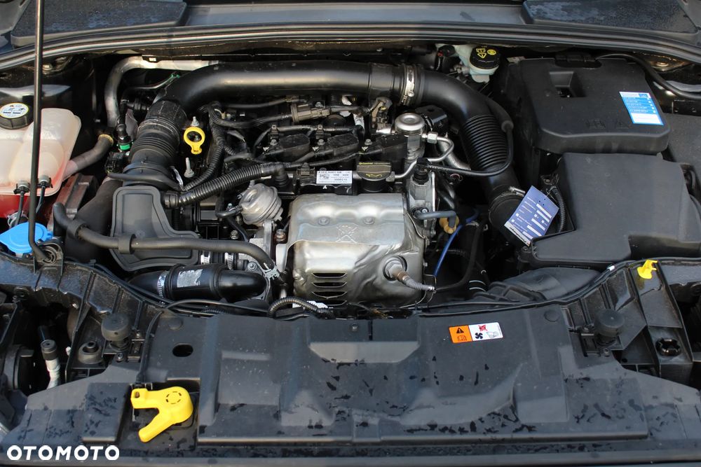 Ford Focus 1.0 EcoBoost ST-Line Black ASS - 26