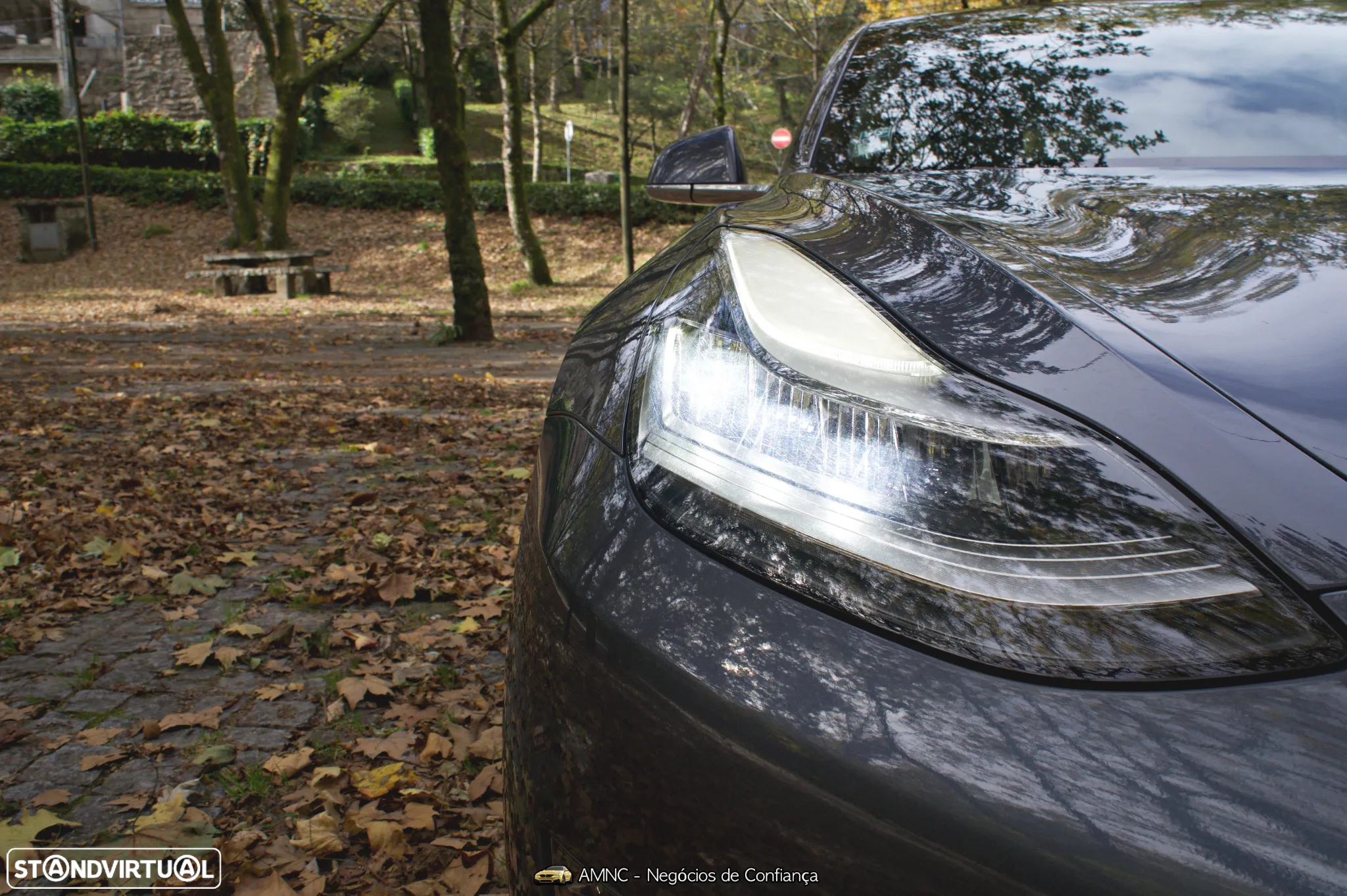 Tesla Model 3 Performance Dual Motor AWD - 18
