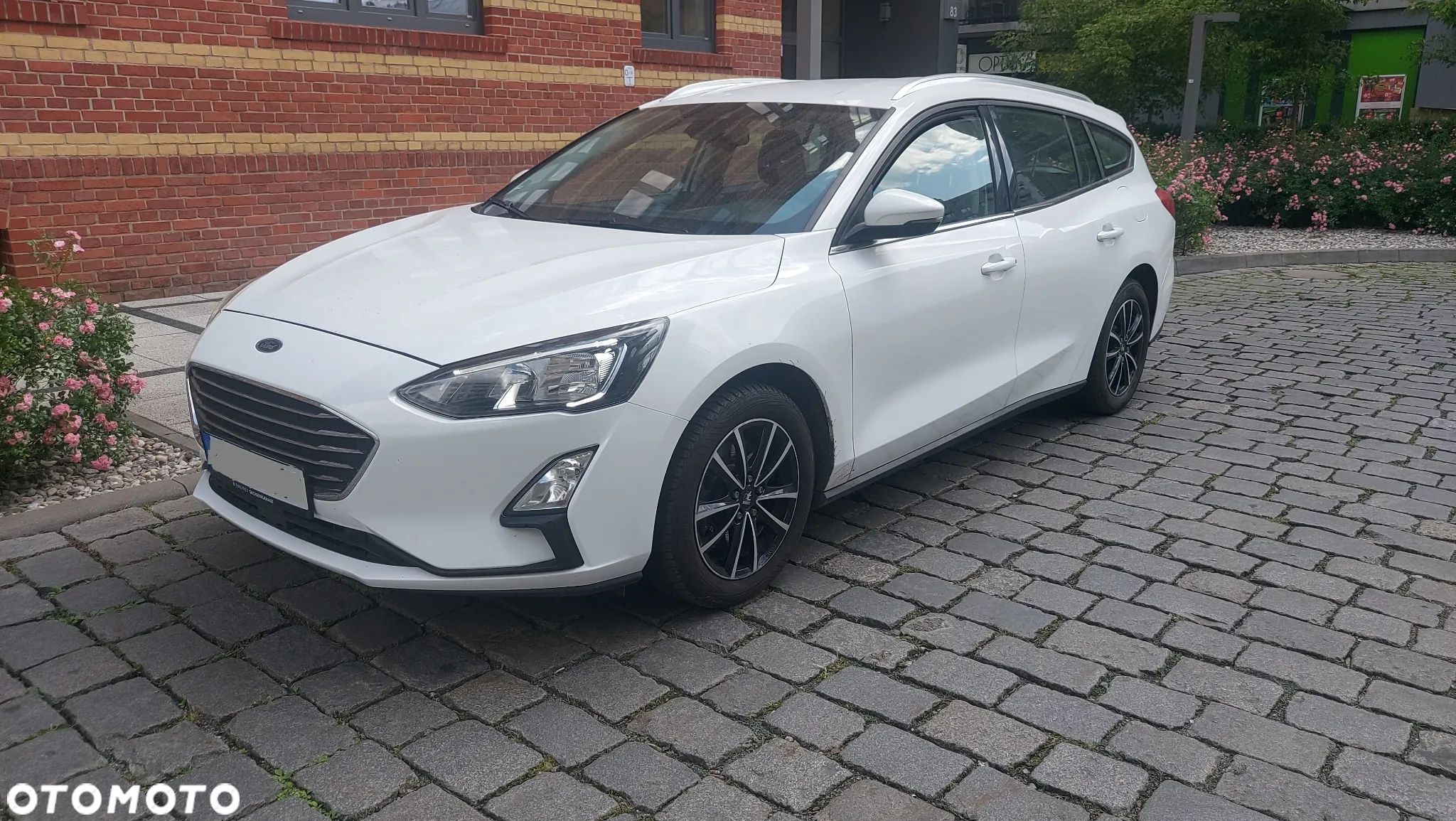 Ford Focus 1.5 EcoBlue Trend Edition Business - 1