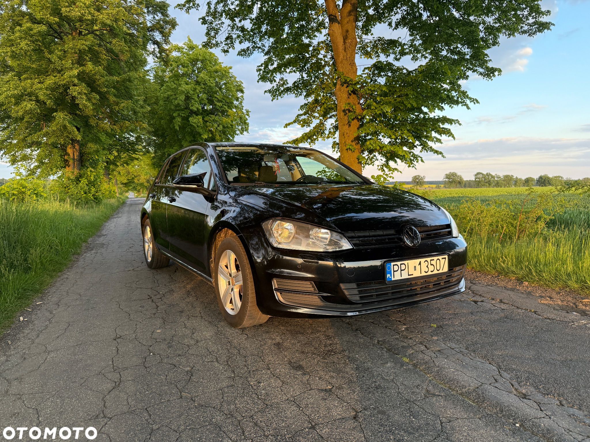 Volkswagen Golf 1.6 TDI DPF Comfortline - 1