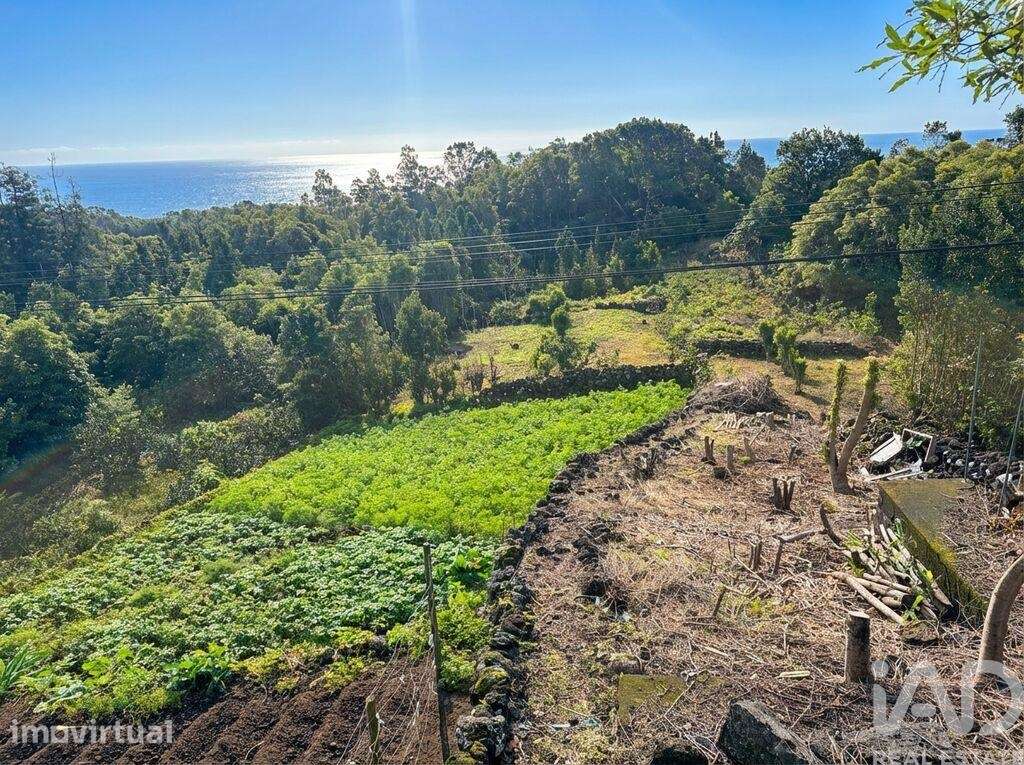 Casa / Villa T1 em Lajes do Pico de 84 m2 - Grande imagem: 3/24