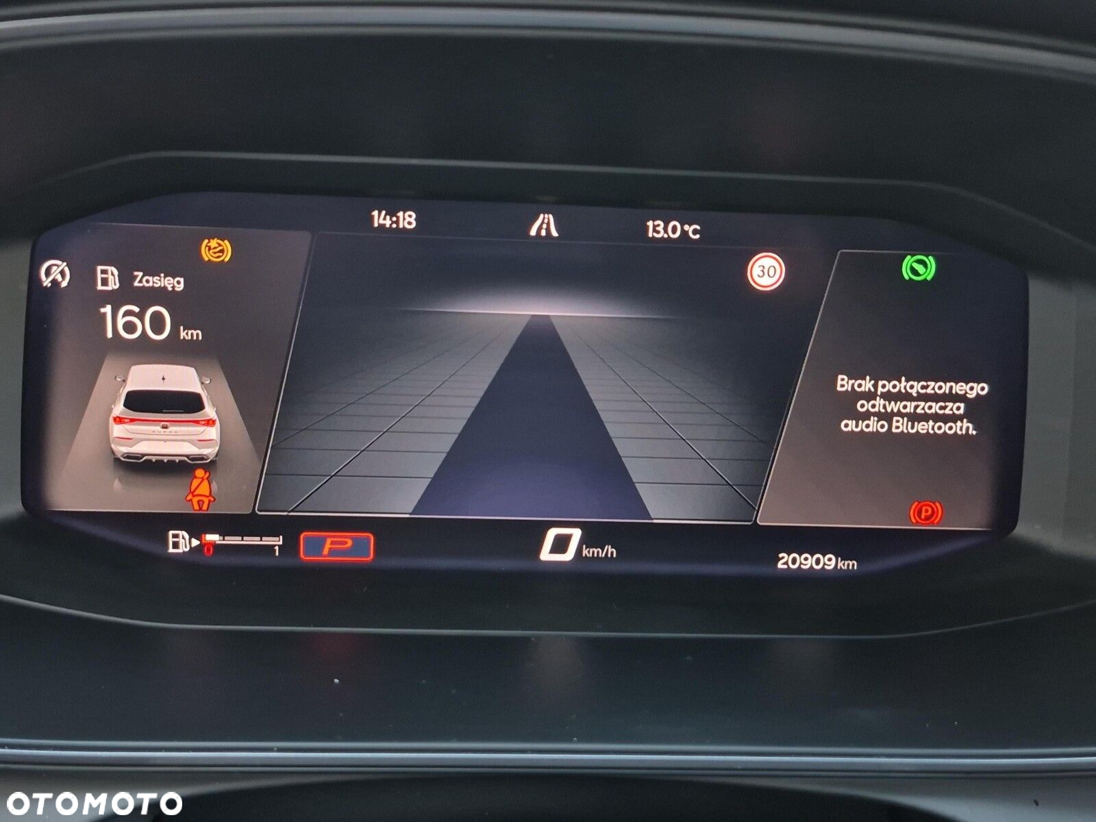 Cupra Leon 2.0 TDI DSG - 21