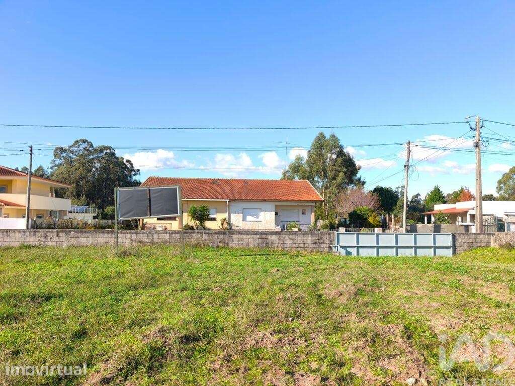 Terreno para construção em Ovar, São João, Arada e São Vicente de Pere - Grande imagem: 3/8
