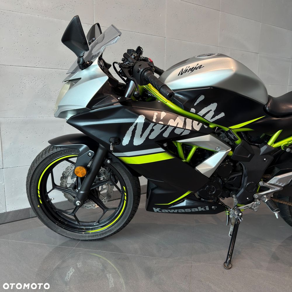 Kawasaki Ninja - 10
