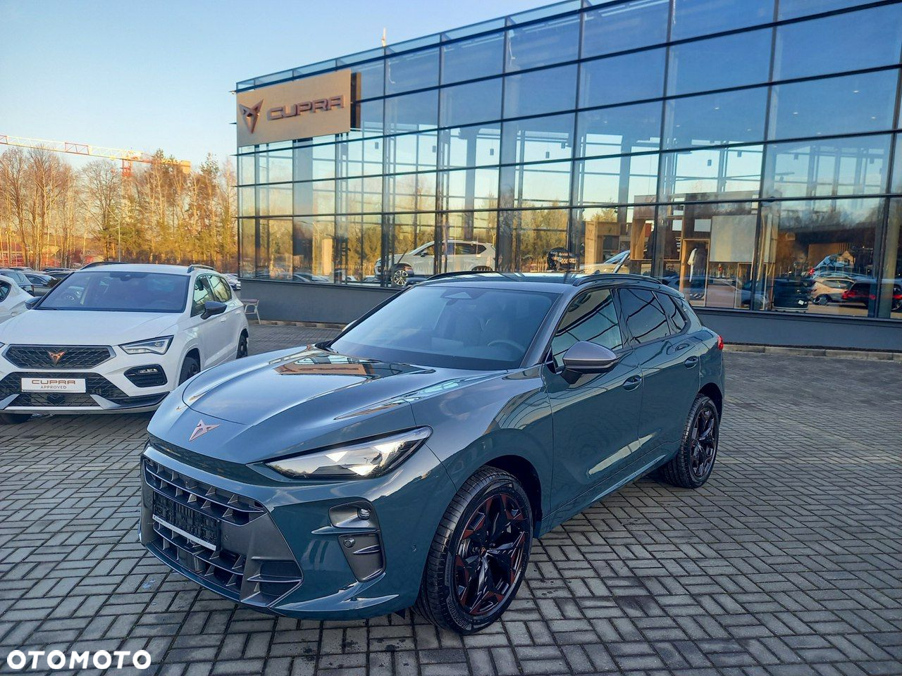 Cupra Terramar - 14