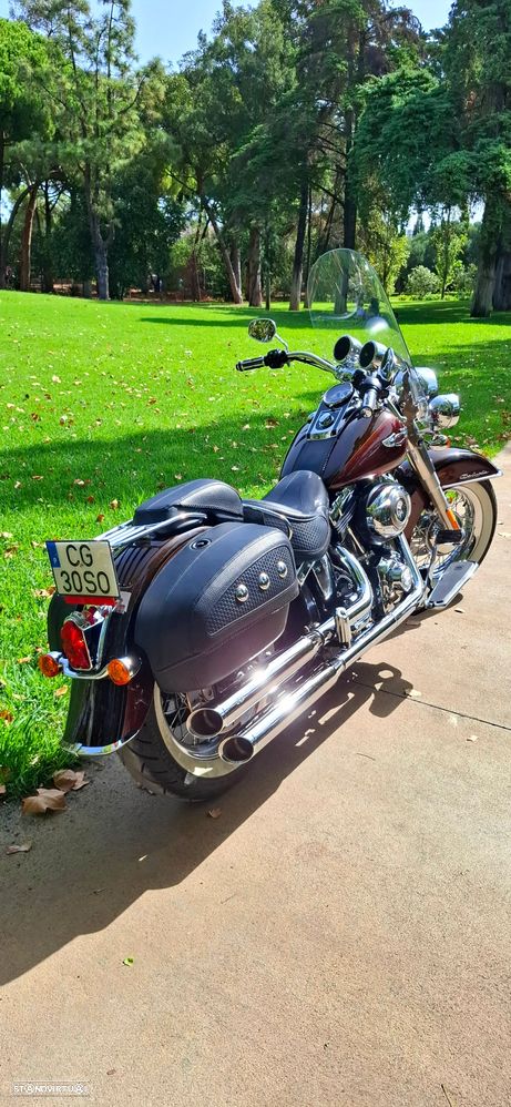 Harley-Davidson FLSTS Softail Deluxe - 6