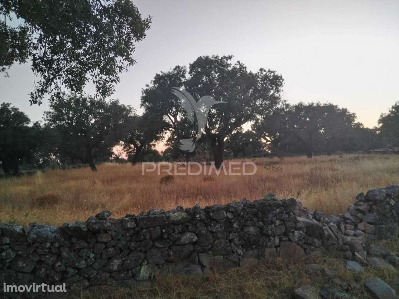 Terreno Agrícola - Grande imagem: 2/4