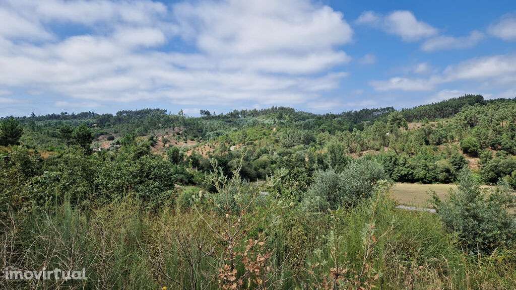 Venda Terreno - Grande imagem: 3/12