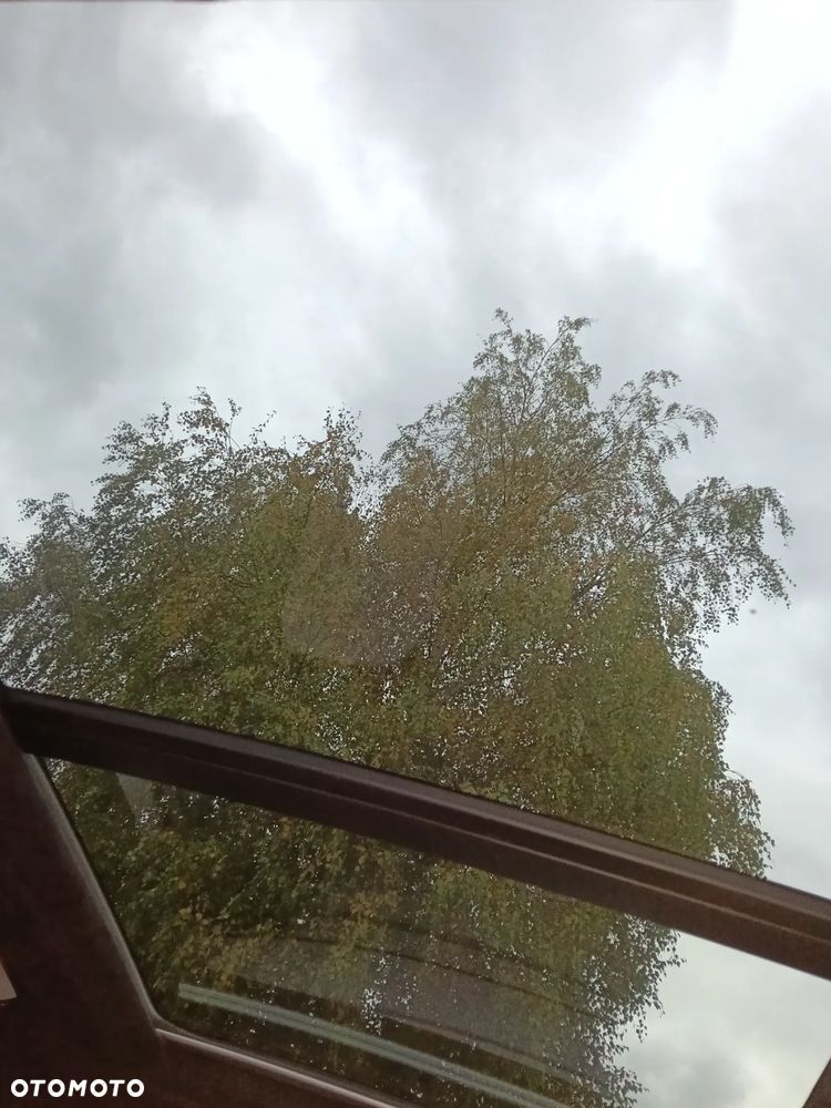 Audi SQ5 3.0 TDI Quattro Tiptronic - 33