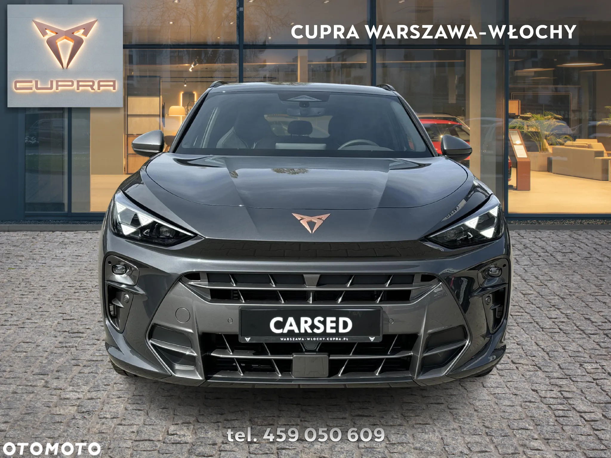 Cupra Terramar 2.0 TSI 4Drive DSG - 8