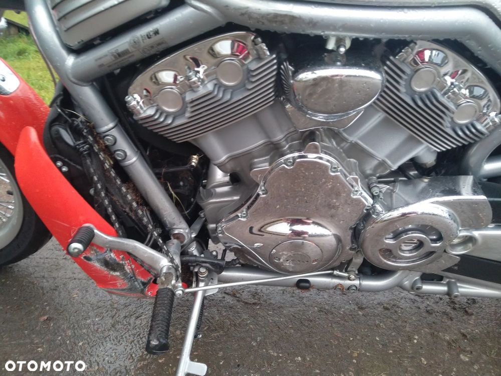 Harley-Davidson Softail V-Rod - 9