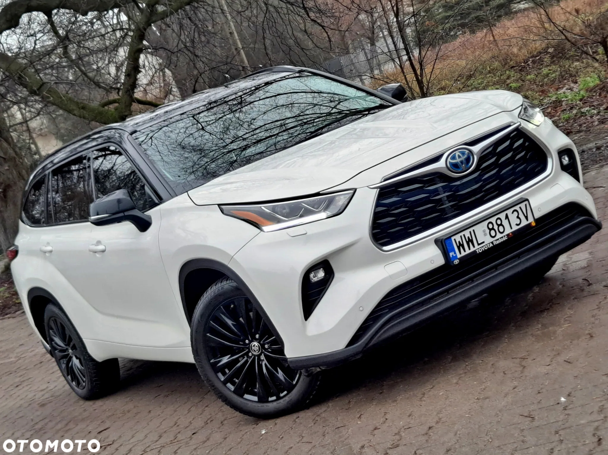 Toyota Highlander 2.5 Hybrid Executive - 26