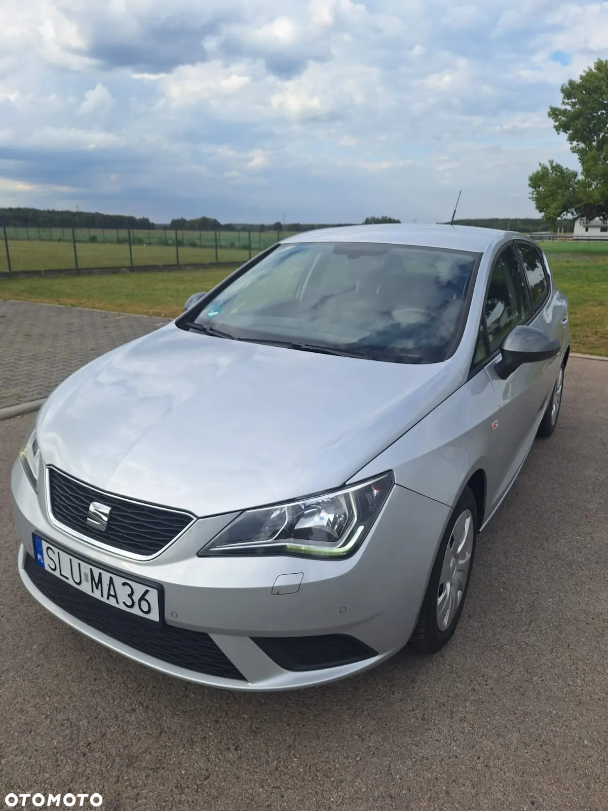 Seat Ibiza - 3