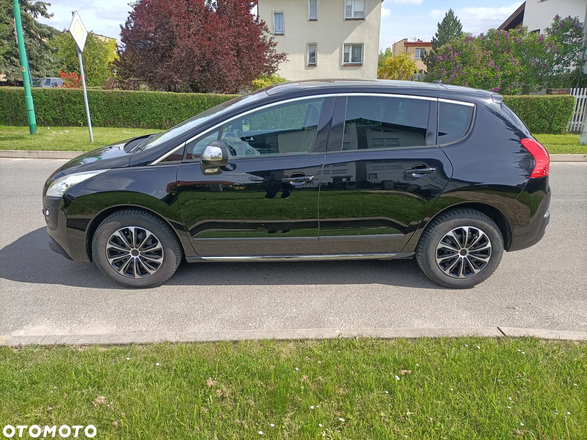 Peugeot 3008 - 17