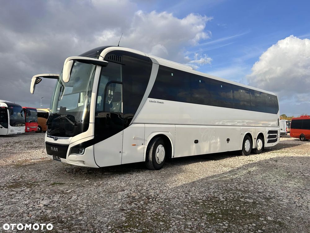 MAN LIONS COACH - 9