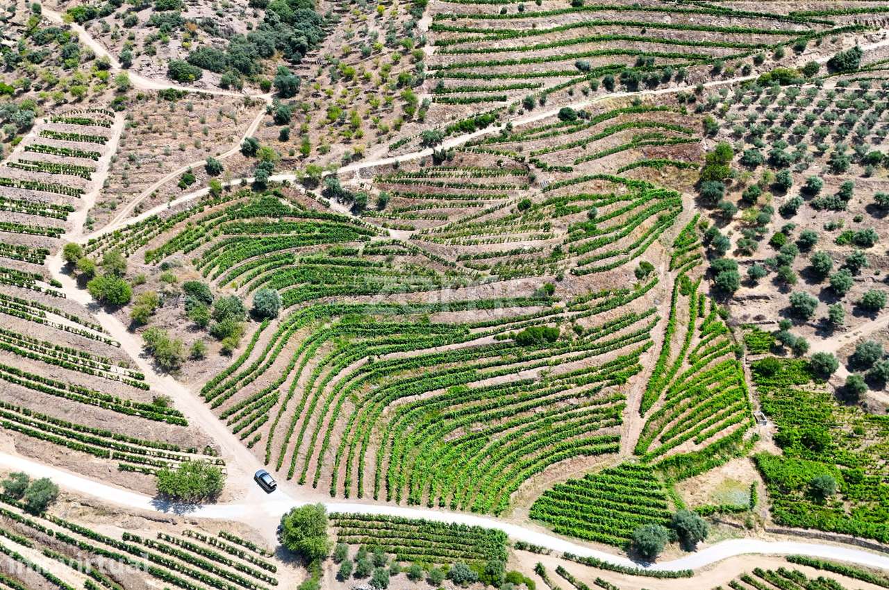 Terreno com 20.163 m² e Vistas Deslumbrantes sobre o Rio Douro - Grande imagem: 4/18