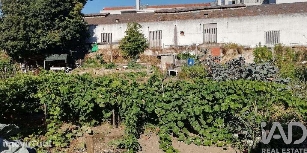 Terreno T30 em Setúbal (São Julião, Nossa Senhora da Anunciada e Santa - Grande imagem: 5/5