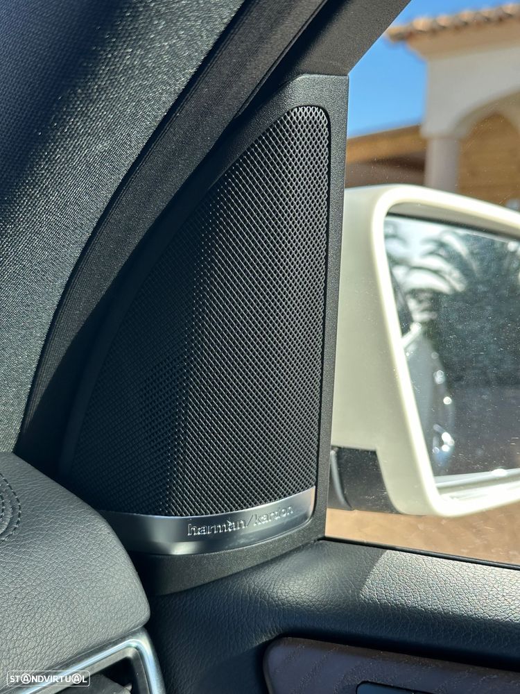 Mercedes-Benz GL 350 BlueTEC 4Matic 7G-TRONIC - 14