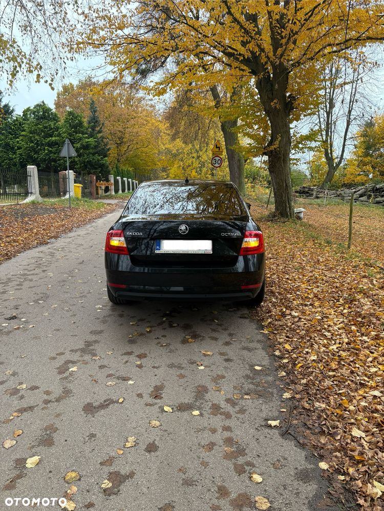 Skoda Octavia 1.6 TDI Ambition - 6