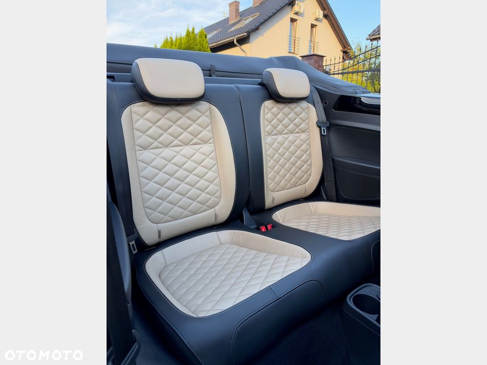 Volkswagen Beetle - 23