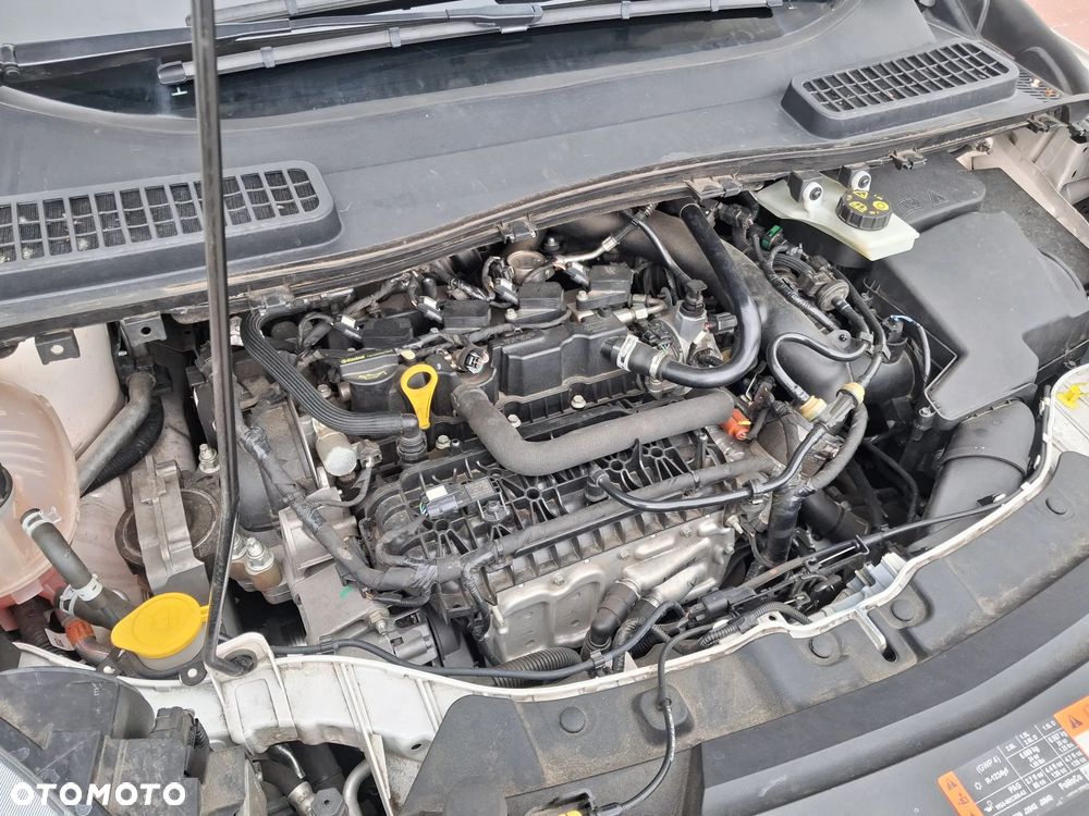 Ford Kuga 1.5 EcoBoost AWD ST-Line ASS - 21