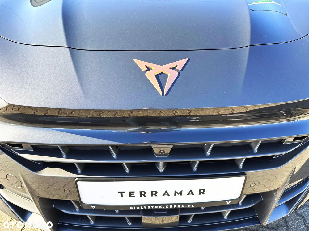 Cupra Terramar 1.5 eTSI mHEV Advantage Edition DSG - 20